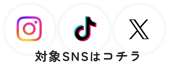 対象SNSはコチラ